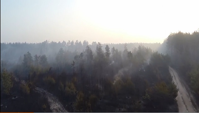 Як виглядає ліс під Києвом, знищений пожежею (ВІДЕО)
