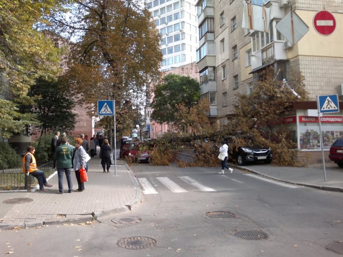 На Арсенальній дерево розтрощило 3 автомобілі (ФОТО)