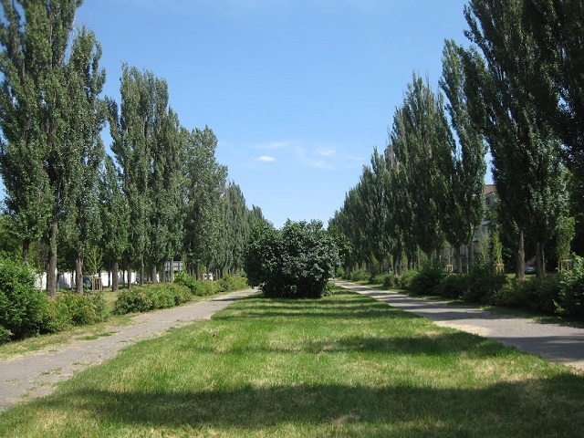 На бульварі Вернадського встановили арт-об’єкт “Портал”(ФОТО)