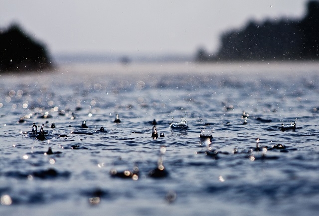 Показники столичних водойм погіршилися після дощів