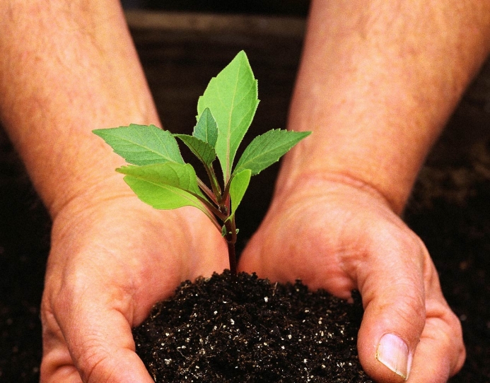 Столична влада взялася за охорону природи