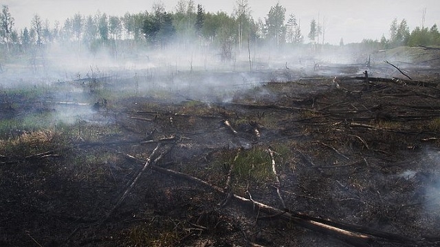 У Чорнобильській зоні знову спалахнула пожежа