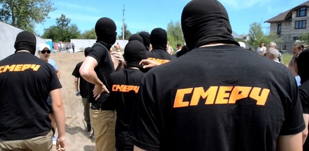 Групи активістів зносять огорожі котеджів у Києві
