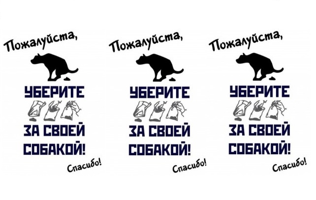 А ти прибрав за своєю собакою?