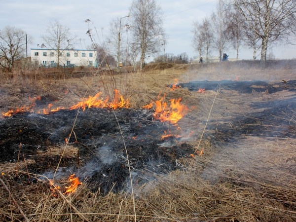 Увага! У Києві горить суха трава!