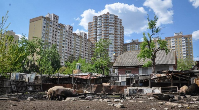 На столичному стадіоні покажуть “Яму”