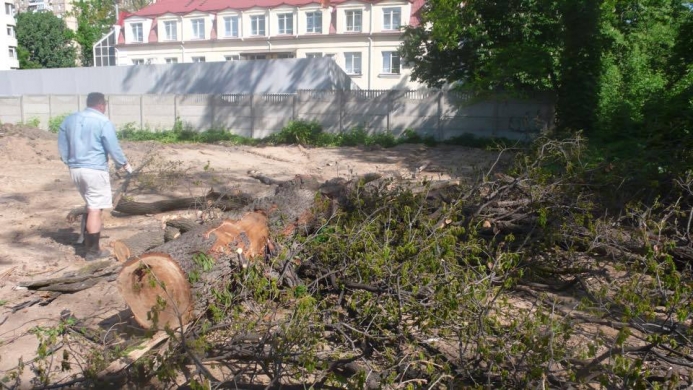 Мешканці Святошино обурені вирізанням 200-річних дубів